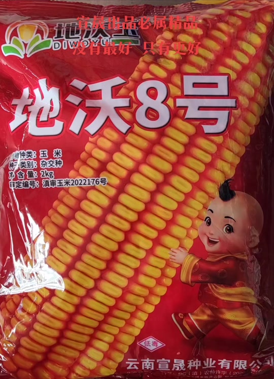 春风886玉米种子的特点怎么样 - 抖音