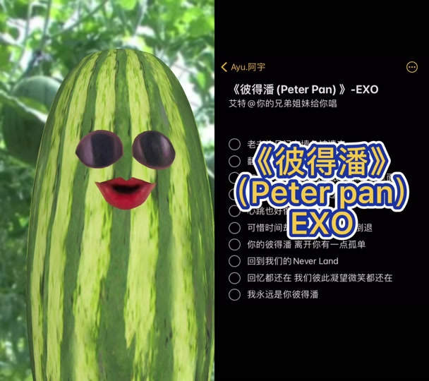 彼得潘exo中文版 - 抖音