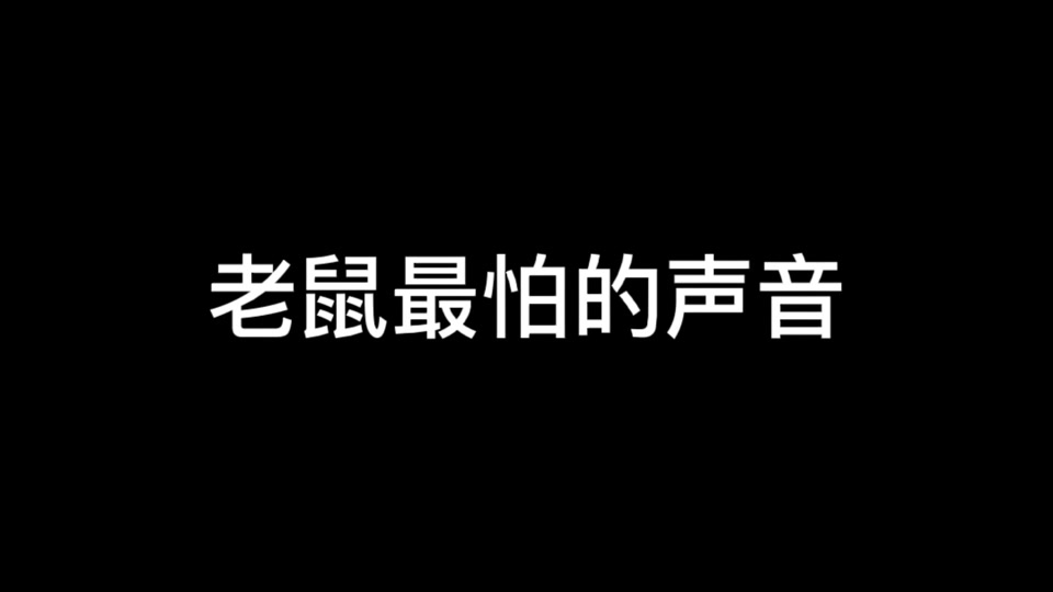 猫叫声凶猛60秒_猫叫声 凶猛_猫叫声 吓老鼠用 - 抖音