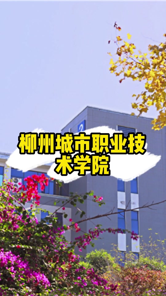 柳州城市职业学院专业表和分数 - 抖音