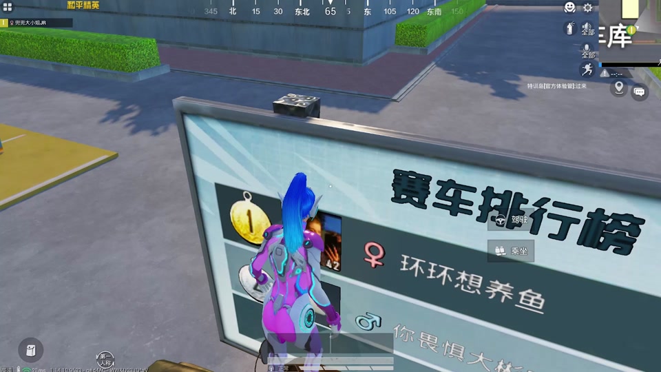 我要看和平精英怎么说