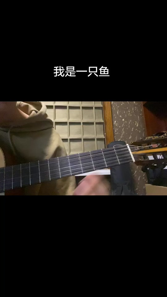 不是一只鱼 - 抖音