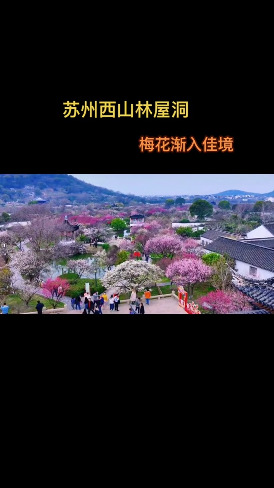 苏州西山梅园_苏州西山梅园门票_苏州西山梅园梅花开了吗 - 抖音