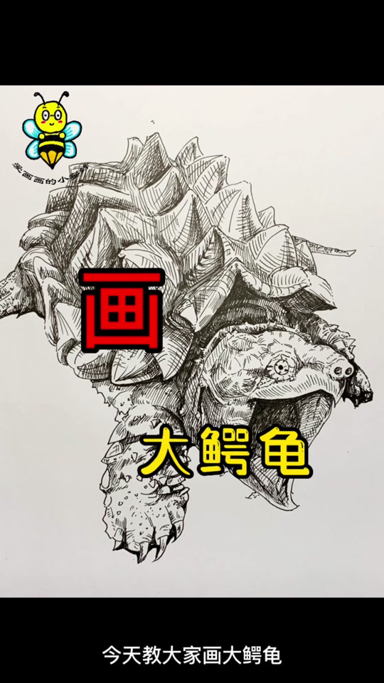 呆火鳄简笔画_地蜥鳄简笔画_小鳄龟简笔画 - 抖音