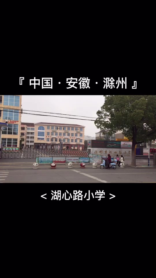 滁州南谯区中小学报名人数多少 - 抖音
