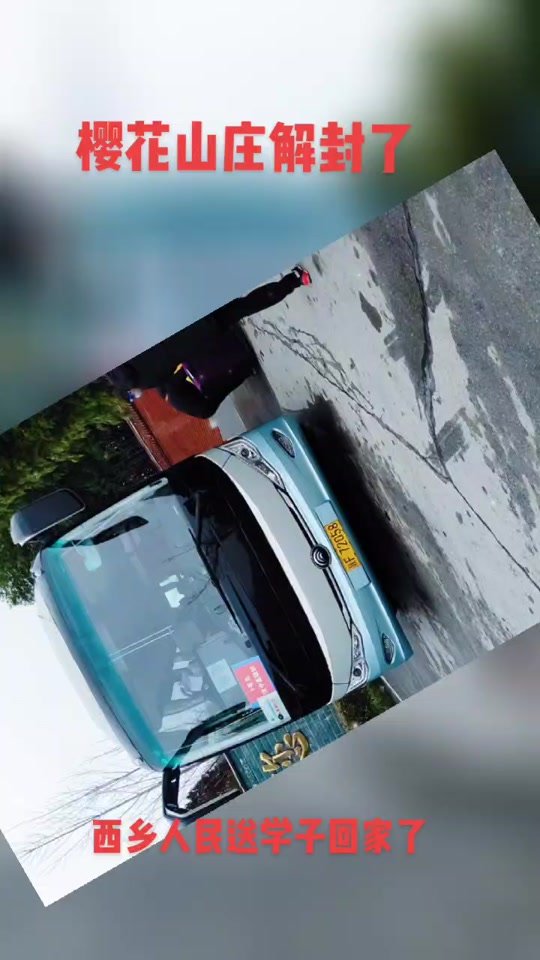 樱花山庄1000块拼图的过程 - 抖音