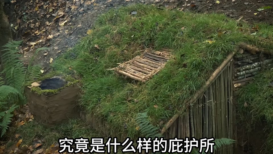 男人将他的内嵌式庇护所再度升级#野外建造 #原始技术 #野外生活 - 抖音