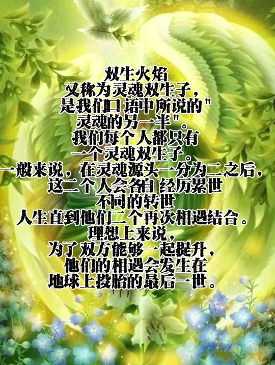 双生火焰女阳男阴谁更痛苦 - 抖音