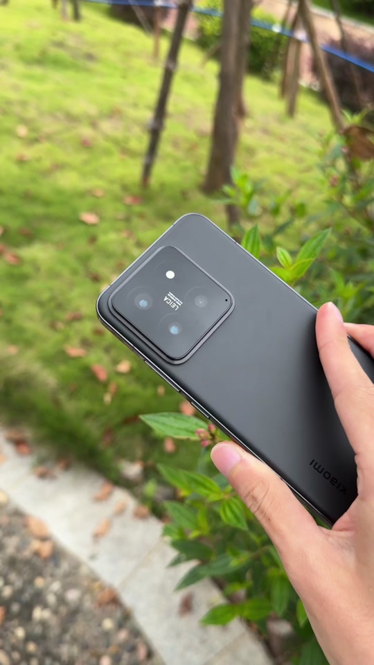 小米11和小米14pro微距对比 - 抖音