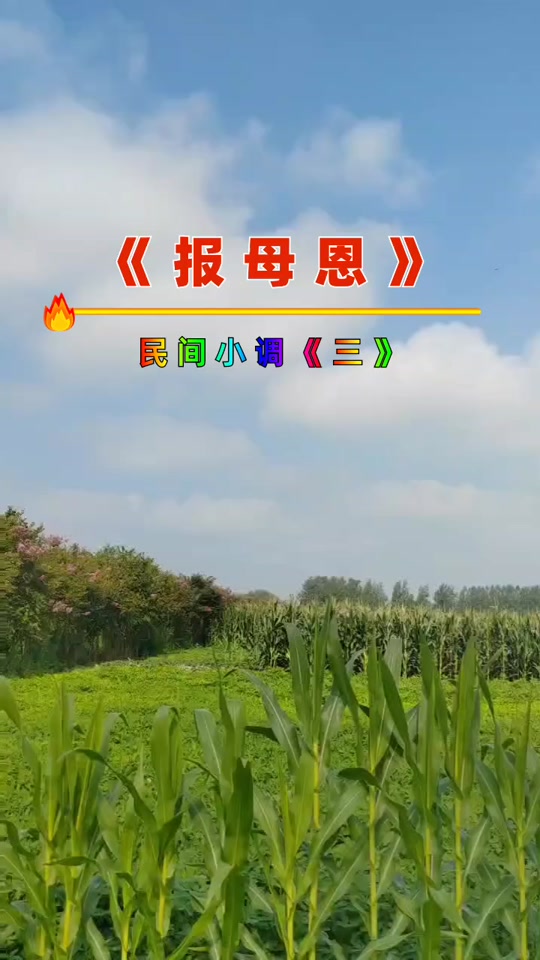 报母恩歌词歌谱 - 抖音
