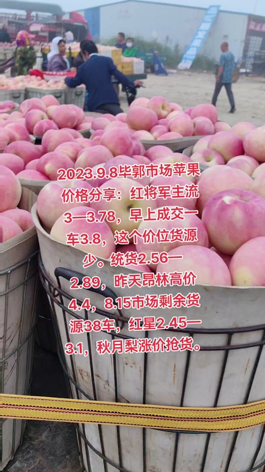 泰山红将军_泰山红将军好抽吗_泰山红将军2023涨价最新 - 抖音