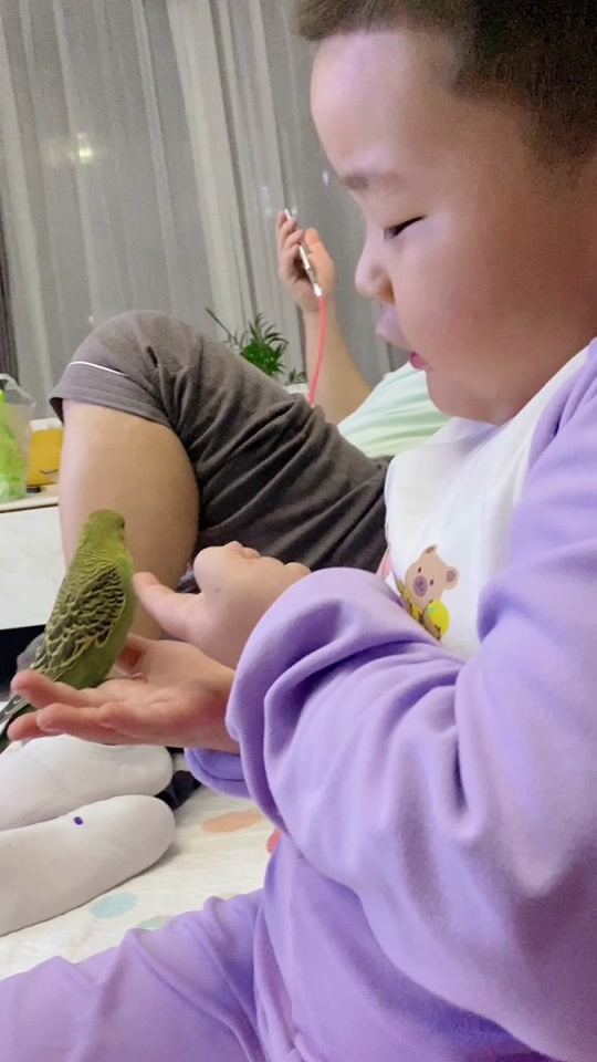 祁虫虫