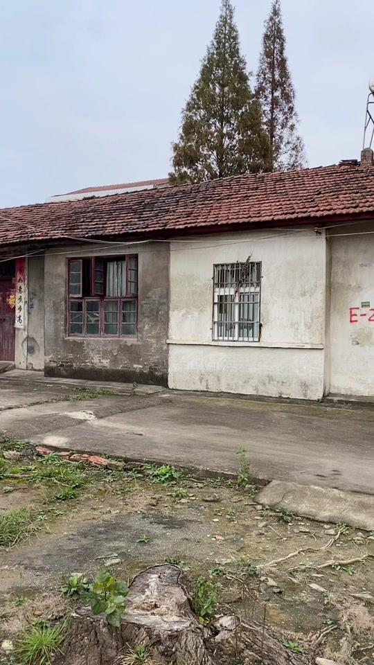 西安莲湖区张家村征迁了吗 - 抖音