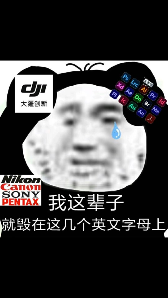 尼康佳能索尼富士对比图表情包 - 抖音