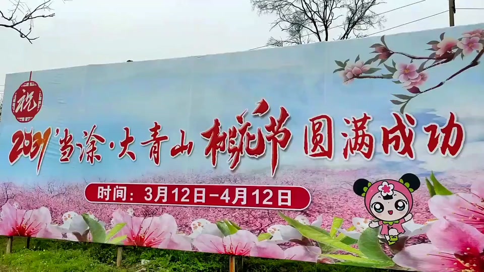 当涂县青山桃花节哪天开幕 - 抖音