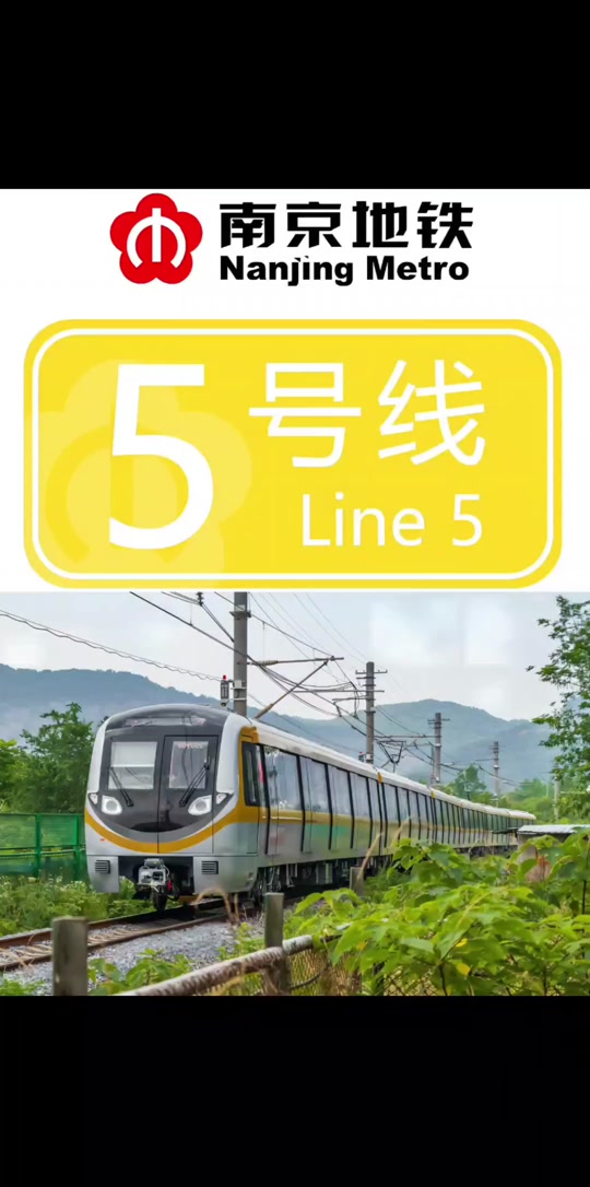 南京5号线为什么修了10年 - 抖音