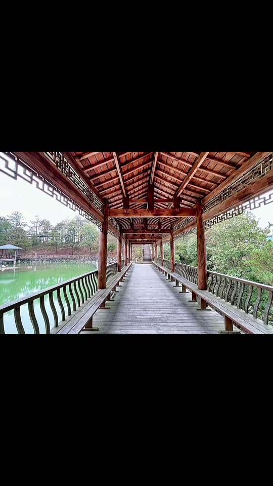 文成县云顶山庄:深秋的云顶山庄#远离城市的喧嚣 #治愈系风景 @抖音小