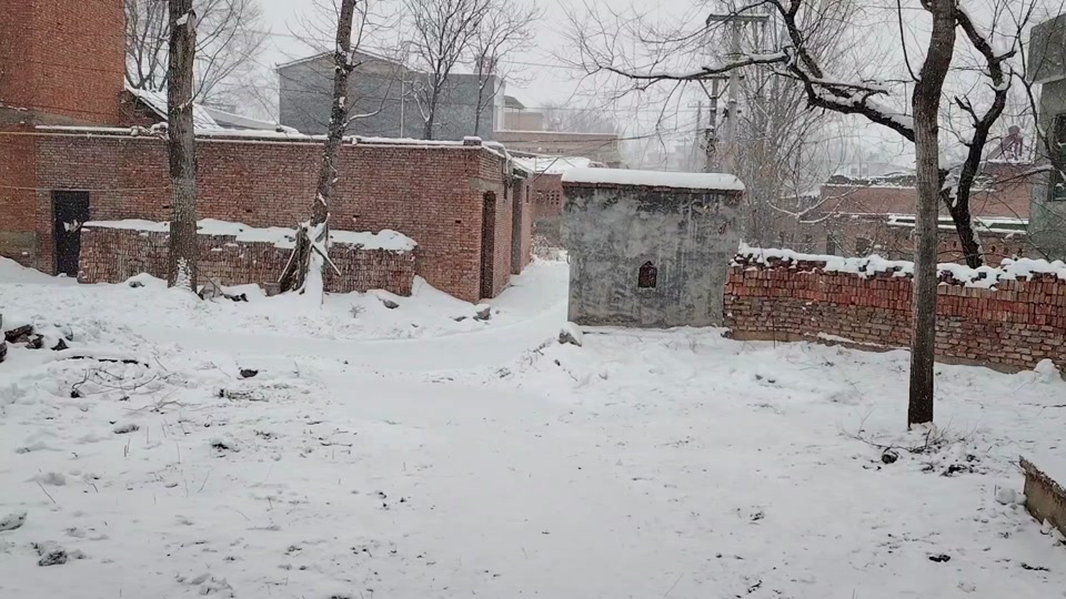 今天又开始下了,这不是雪都开始不停了 #鹅毛大雪 #农村雪景 #雪一直