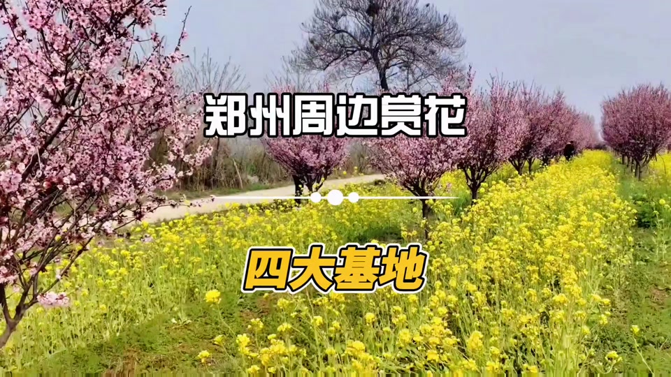 郑州司机的新沟花海在具体在什么位置 - 抖音