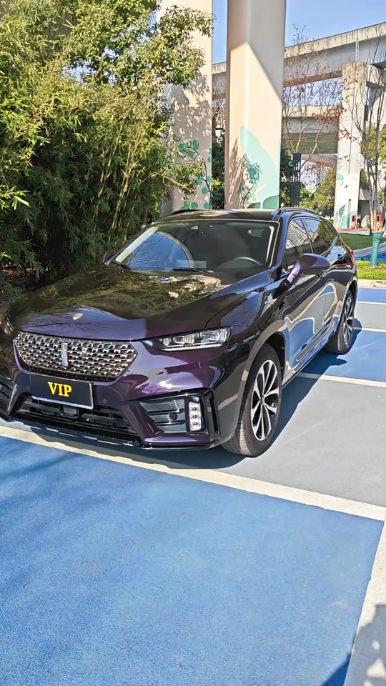 0t豪华2020款二手车,20年上牌一手,3万公里,超丰富配置,超高性价比