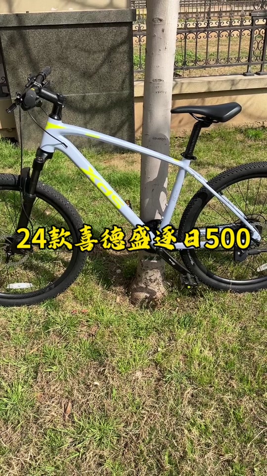 喜德盛逐日700公路车什么价 - 抖音