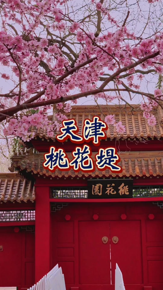 蓟州区桃花节几号开始 - 抖音