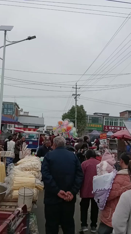 2024年五河县小圩镇赶会时间 - 抖音