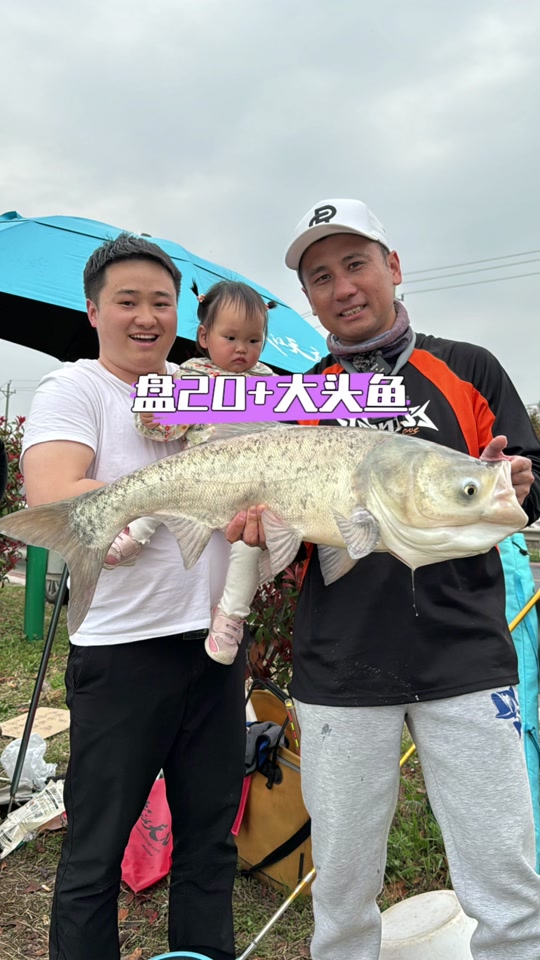 天元王稳