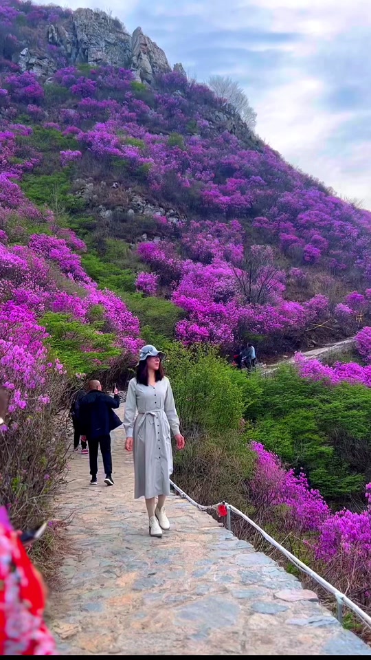 大黑山杜鹃花海5月12号还有吗 - 抖音
