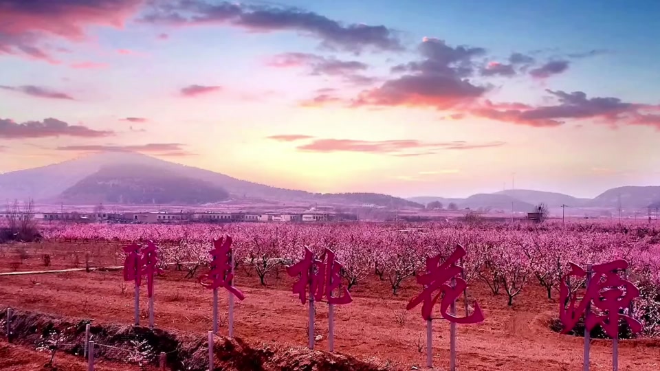 肥城桃花节到几号去合适 - 抖音