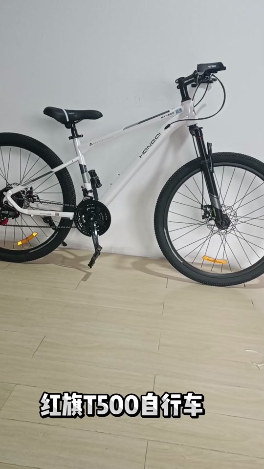 红旗自行车属于什么档次 - 抖音