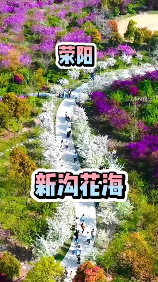 郑州司机的新沟花海在具体在什么位置 - 抖音