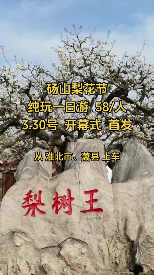砀山梨花节29届开幕式门票怎么获得 - 抖音