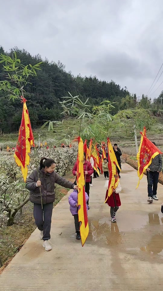 福建省宁德市古田县吉巷乡芹溪村,恭迎南山将军千秋寿旦游神巡村祈福