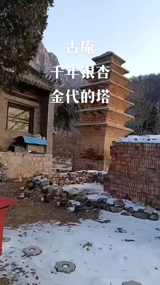 市区去构林东顶有几个大殿 - 抖音