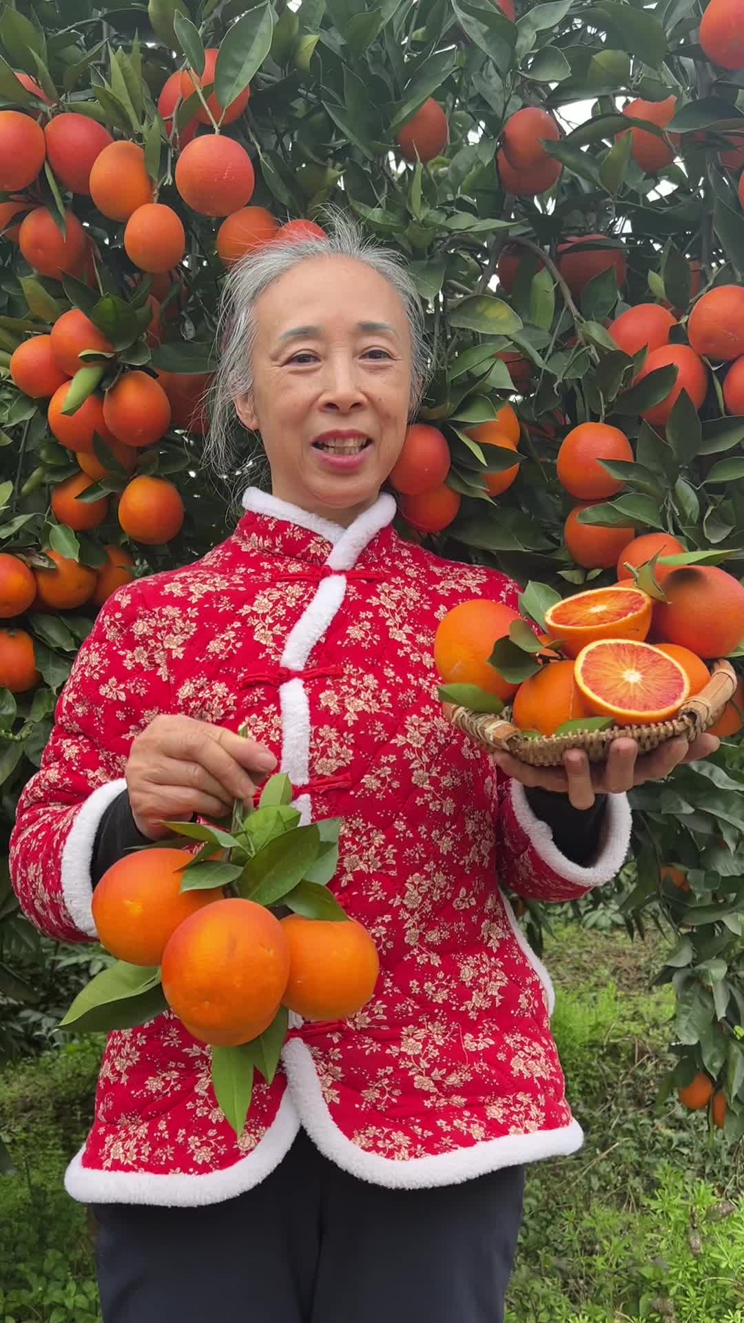 欣哥的美好时光