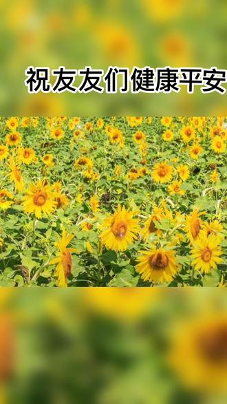 情感心语979797在抖音记录美好生活20220204 - 抖音