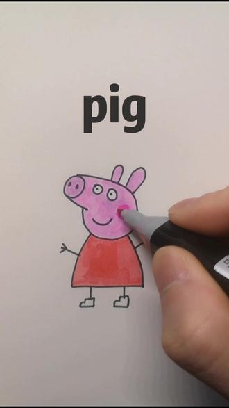 第25集简笔画第25课猪pig