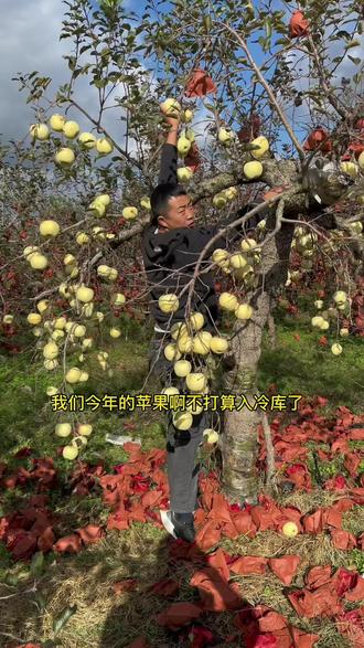 草莓是什么时候种什么时候收 090a944359334184ae4650d22a44bccc~tplv-dy-resize-origshort-autoq-75:330.jpeg?x-expires=2000818800&x-signature=PHQlCoKEuscr6yM%2FkIkYJQ6PwSA%3D&from=3213915784&s=PackSourceEnum_AWEME_DETAIL&se=false&sc=cover&biz_tag=pcweb_cover&l=20230530231812A4FD6BB7ACB8DE2061AF