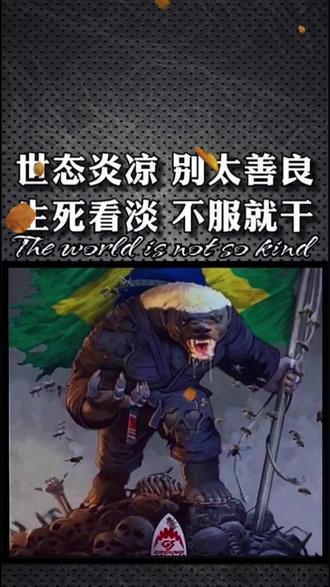 壁纸世态炎凉别太善良生死看淡不服就看