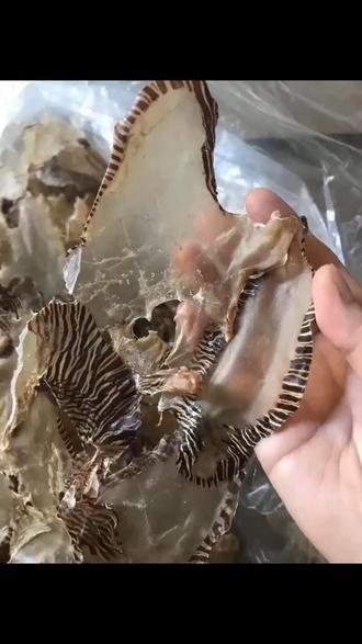 油一般多少公斤的 2ed837b6df6d4469b689507fd241a0c7~tplv-dy-resize-origshort-autoq-75:330.jpeg?x-expires=1999936800&x-signature=0xJdLgXcY8mIDU1LwcxPktPkZ6s%3D&from=3213915784&s=PackSourceEnum_AWEME_DETAIL&se=false&sc=cover&biz_tag=pcweb_cover&l=20230520184305FF5E47F28000BA688D4E