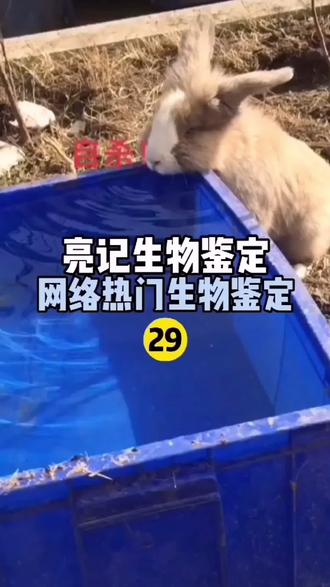 网络热传生物鉴定 亮记生物鉴定 抖音