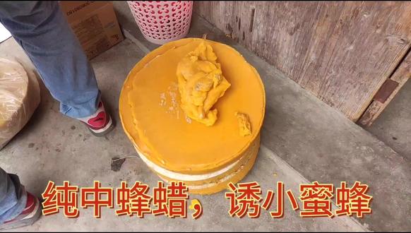 密蜂的种类图片 3b3f2a95c4d245658f828a8d09695283_1608784977~tplv-dy-resize-origshort-autoq-75:330.jpeg?x-expires=2006028000&x-signature=D59HpolfFSKiCHJxcA5plUamEQI%3D&from=3213915784&s=PackSourceEnum_AWEME_DETAIL&se=false&sc=cover&biz_tag=pcweb_cover&l=2023073006341223989033A62568C14CB9