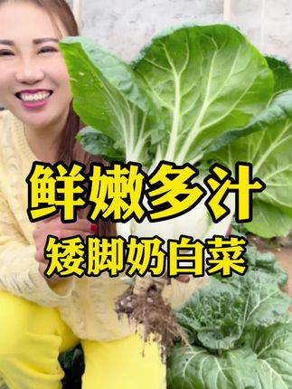 小豆芽家庭菜园的主页 抖音 小豆芽家庭菜园的主页 抖音