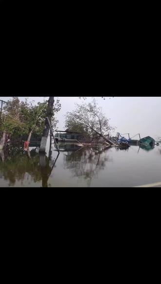 洪灾后的浚县小河周边的村庄无水无电无信号良田万顷成泡影一片狼藉一