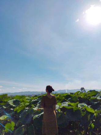 自拍用美颜,原相机拍背影,而且只能是远景……你们是不是也已经到了