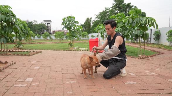 领养的狗咬人 矫正训练 终于毕业了 训犬 流浪狗 狗狗 抖音