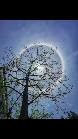 待在广州的朋友们朋友圈都在晒这个太阳吧