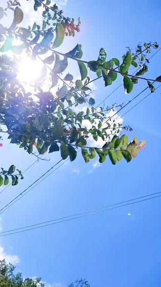 天晴了心情也会跟着好起来