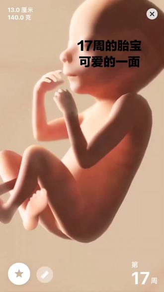 17周的胎儿有多大 17周的胎儿像什么水果 17周的胎儿有多大正常 抖音 17周的胎儿有多大 17周的胎儿像什么水果 17周的胎儿有多大正常 抖音